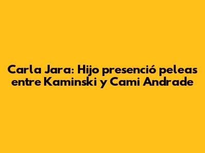 **Carla Jara: Hijo presenció peleas entre Kaminski y Cami Andrade**