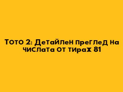 Тото 2: Детайлен преглед на числата от тираж 81