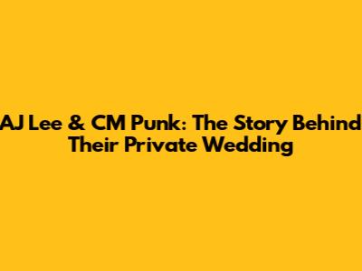 AJ Lee & CM Punk: The Story Behind Their Private Wedding