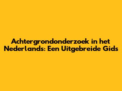 Achtergrondonderzoek in het Nederlands: Een Uitgebreide Gids