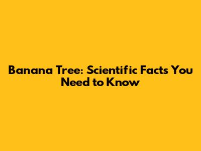 Banana Tree: Scientific Facts You Need to Know
