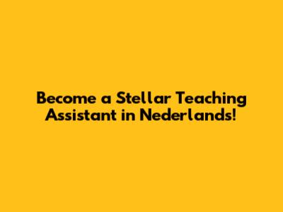 Become a Stellar Teaching Assistant in Nederlands!