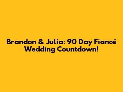 Brandon & Julia: 90 Day Fiancé Wedding Countdown!