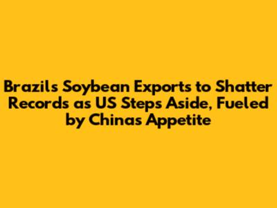 Brazil's Soybean Exports to Shatter Records as US Steps Aside, Fueled by China's Appetite