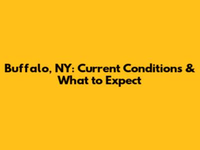 Buffalo, NY: Current Conditions & What to Expect