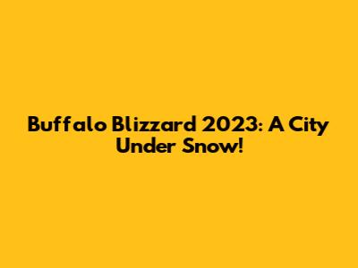 Buffalo Blizzard 2023: A City Under Snow!