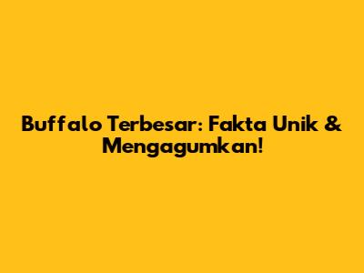 Buffalo Terbesar: Fakta Unik & Mengagumkan!