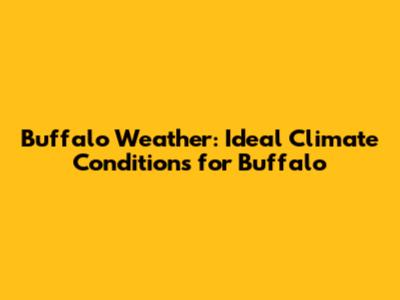 Buffalo Weather: Ideal Climate Conditions for Buffalo