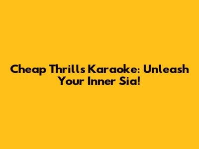 Cheap Thrills Karaoke: Unleash Your Inner Sia!