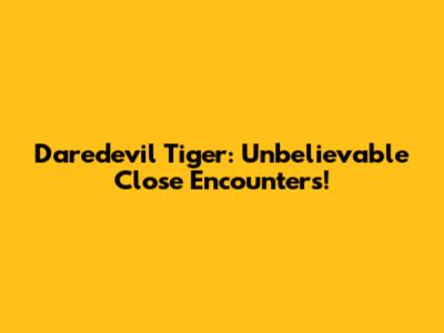 Daredevil Tiger: Unbelievable Close Encounters!