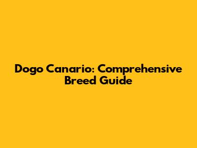 Dogo Canario: Comprehensive Breed Guide