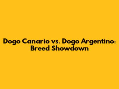 Dogo Canario vs. Dogo Argentino: Breed Showdown