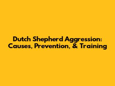 Dutch Shepherd Aggression: Causes, Prevention, & Training