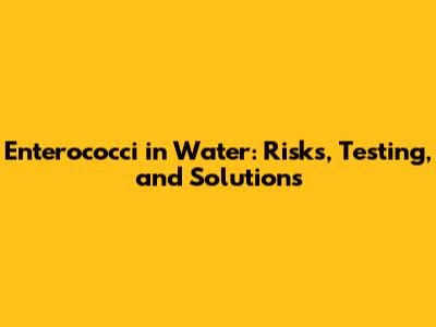 Enterococci in Water: Risks, Testing, and Solutions