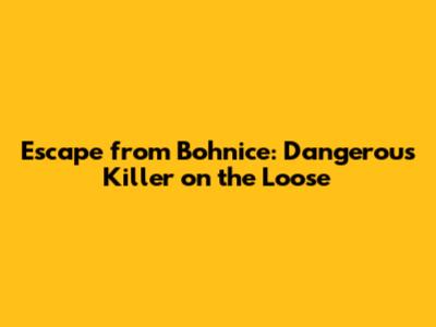 Escape from Bohnice: Dangerous Killer on the Loose