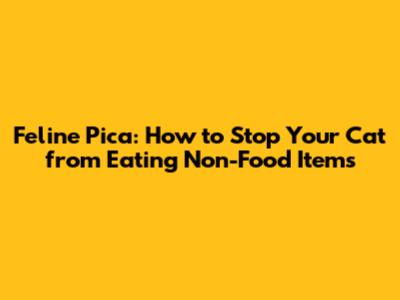 Feline Pica: How to Stop Your Cat from Eating Non-Food Items