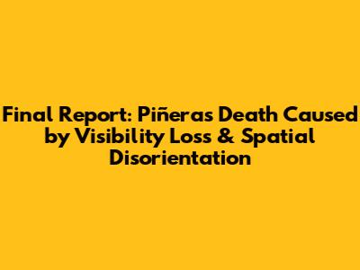Final Report: Piñera's Death Caused by Visibility Loss & Spatial Disorientation