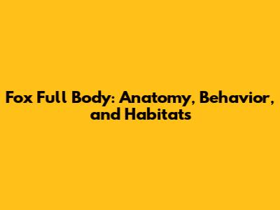 Fox Full Body: Anatomy, Behavior, and Habitats