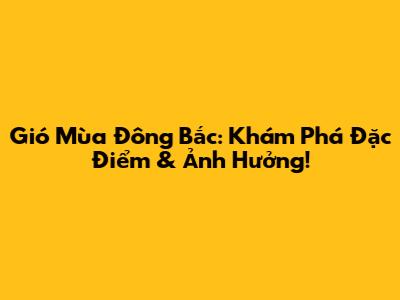 Gió Mùa Đông Bắc: Khám Phá Đặc Điểm & Ảnh Hưởng!