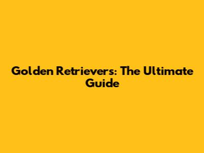Golden Retrievers: The Ultimate Guide