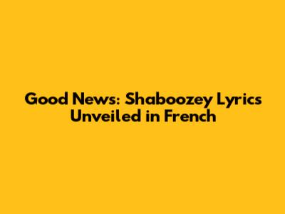 Good News: Shaboozey Lyrics Unveiled in French