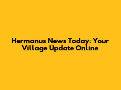 Hermanus News Today: Your Village Update Online