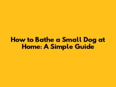 How to Bathe a Small Dog at Home: A Simple Guide