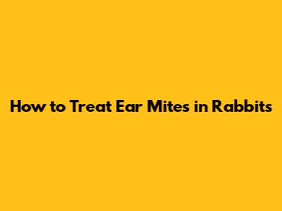 How to Treat Ear Mites in Rabbits