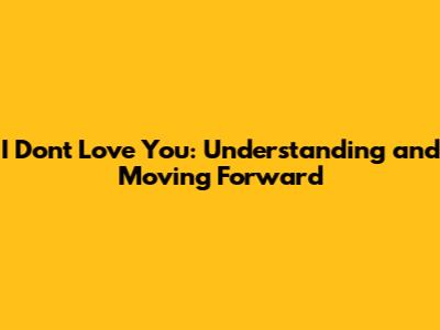 I Don't Love You: Understanding and Moving Forward