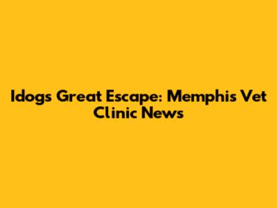Idog's Great Escape: Memphis Vet Clinic News