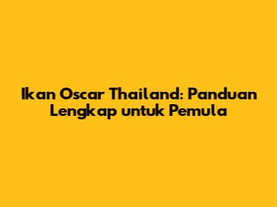 Ikan Oscar Thailand: Panduan Lengkap untuk Pemula