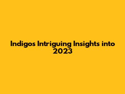 Indigo's Intriguing Insights into 2023