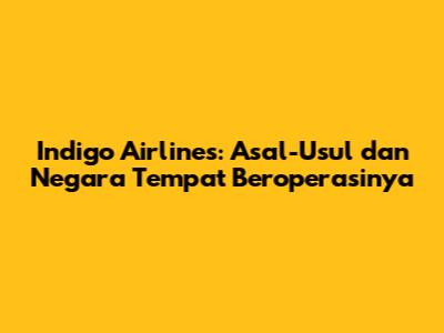 Indigo Airlines: Asal-Usul dan Negara Tempat Beroperasinya
