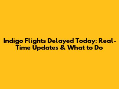 Indigo Flights Delayed Today: Real-Time Updates & What to Do