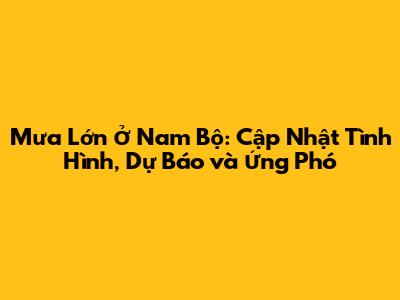 Mưa Lớn Ở Nam Bộ: Cập Nhật Tình Hình, Dự Báo và Ứng Phó
