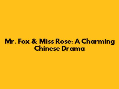 Mr. Fox & Miss Rose: A Charming Chinese Drama