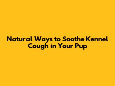 Natural Ways to Soothe Kennel Cough in Your Pup