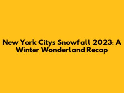 New York City's Snowfall 2023: A Winter Wonderland Recap