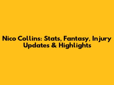 Nico Collins: Stats, Fantasy, Injury Updates & Highlights