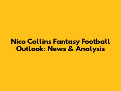 Nico Collins Fantasy Football Outlook: News & Analysis