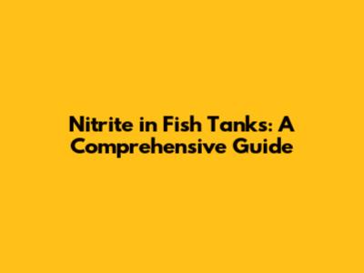 Nitrite in Fish Tanks: A Comprehensive Guide