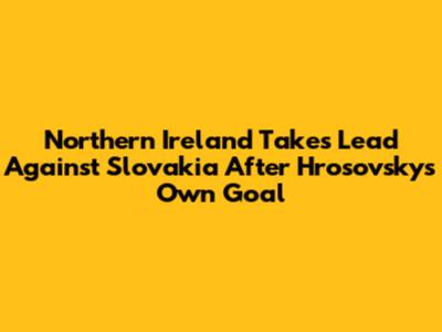Northern Ireland Takes Lead Against Slovakia After Hrosovsky's Own Goal