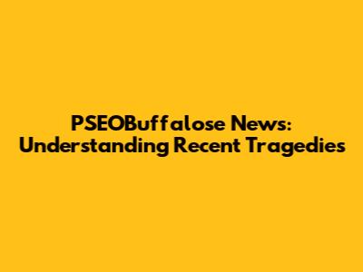 PSEOBuffalose News: Understanding Recent Tragedies