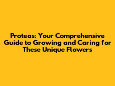 Proteas: Your Comprehensive Guide to Growing and Caring for These Unique Flowers
