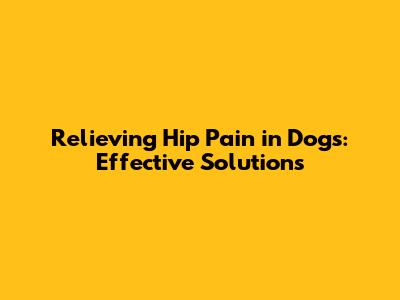 Relieving Hip Pain in Dogs: Effective Solutions