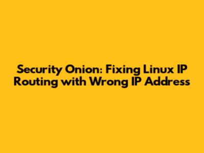 Security Onion: Fixing Linux IP Routing with Wrong IP Address