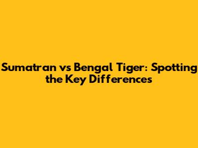 Sumatran vs Bengal Tiger: Spotting the Key Differences