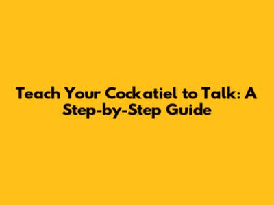 Teach Your Cockatiel to Talk: A Step-by-Step Guide