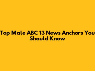 Top Male ABC 13 News Anchors You Should Know