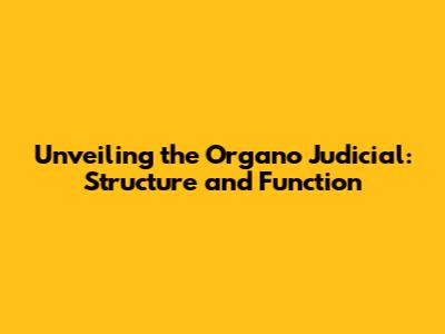 Unveiling the Organo Judicial: Structure and Function